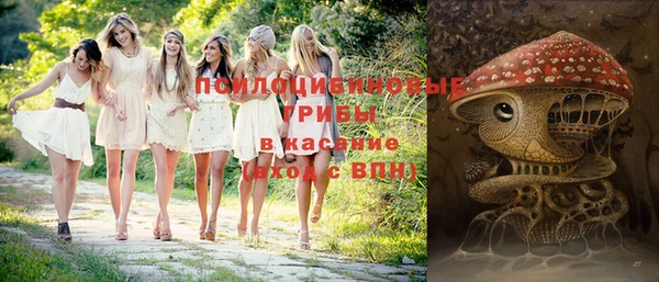 МДМА Алексеевка