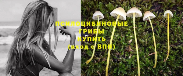 МДМА Алексеевка