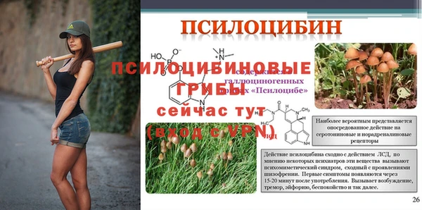 бошки Алзамай