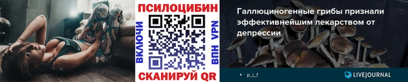 Псилоцибиновые грибы мухоморы  Дзержинский 